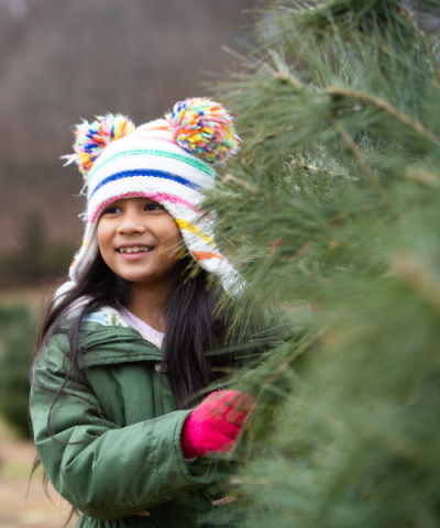 Cut Your Tree at These Dutchess County Farms