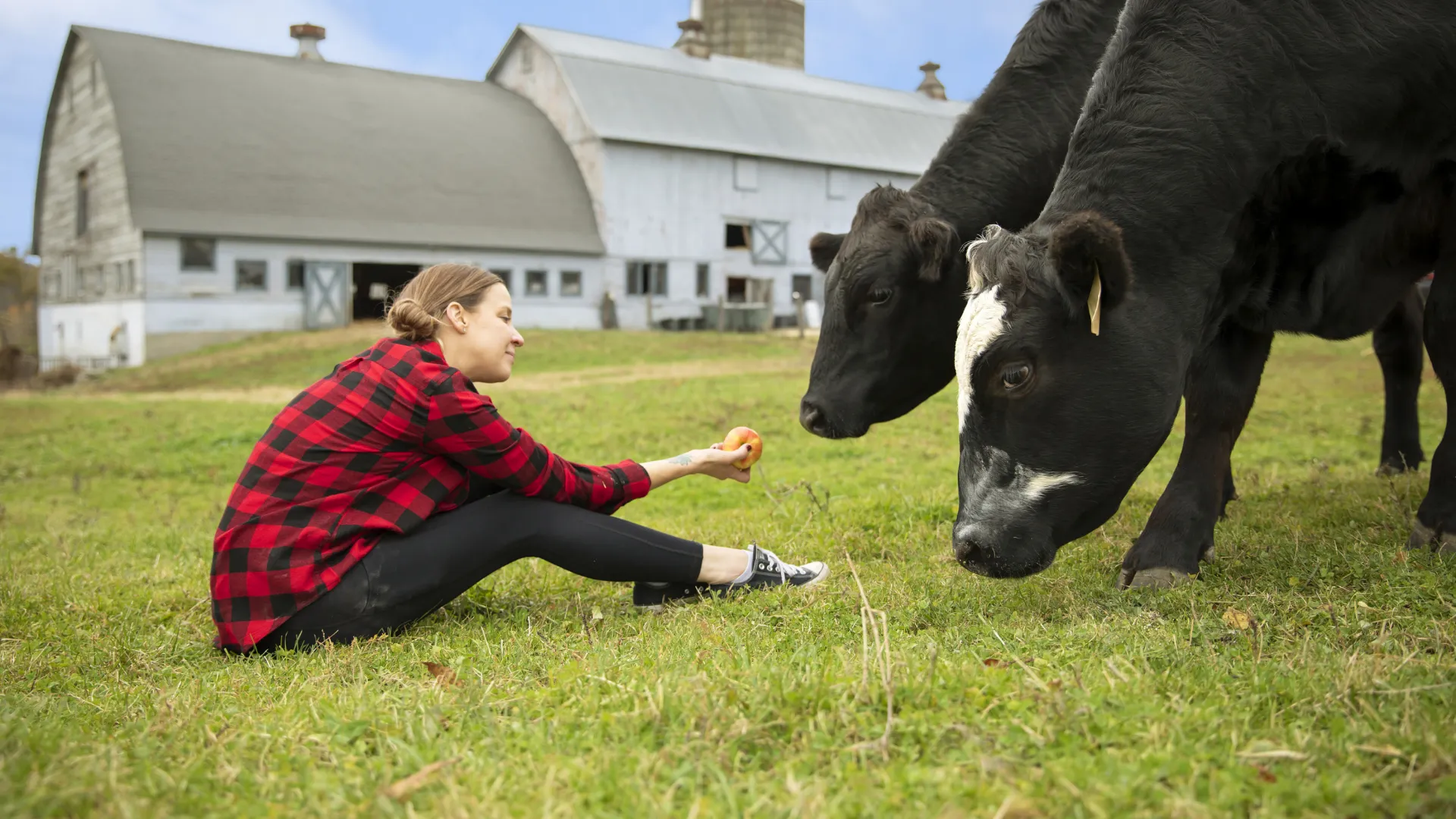 1day_eastern_dutchess_farms_and_markets_image