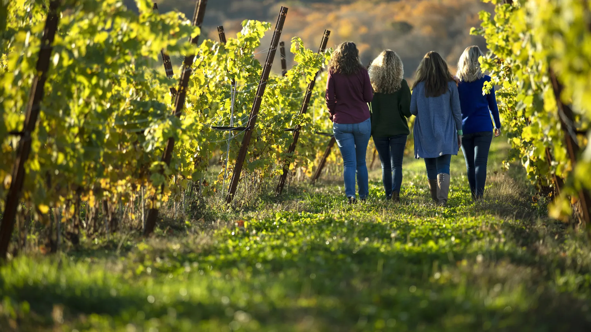 3day_field_to_fork_image